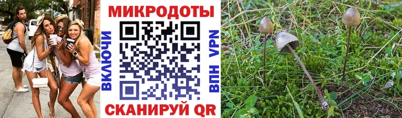 Галлюциногенные грибы мухоморы  Купить закладки  Сосновка 